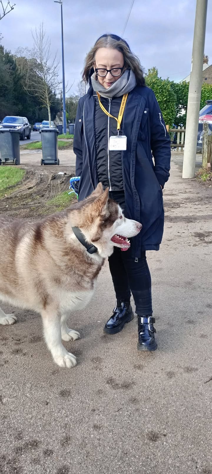 Pawsitive Vibes - Your Local Friendly Dog Walker